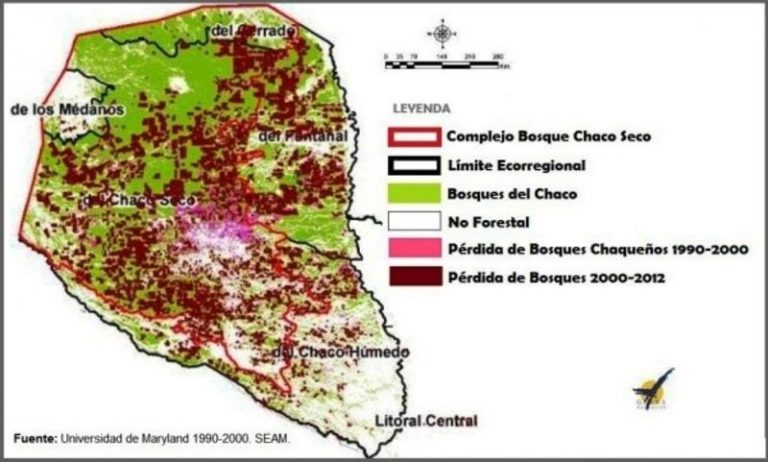 Con proyecto interinstitucional buscarán reforestar el Chaco paraguayo