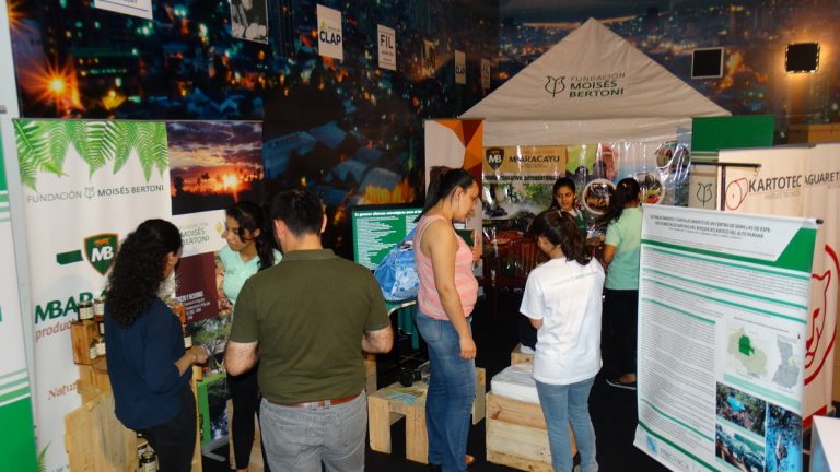 Expo Madera: Sector forestal genera más de 100.000 empleos directos en Paraguay