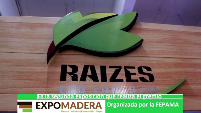 Resumen de la Expo Madera 2017