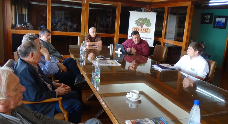 Fepama advierte sobre campaña para criminalizar la producción de carbón vegetal