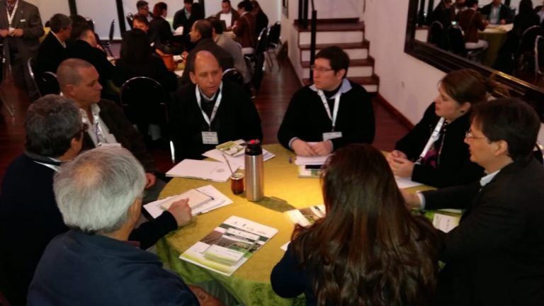 Fepama propone que certificación de biomasa forestal no tenga costo y no sea obligatoria
