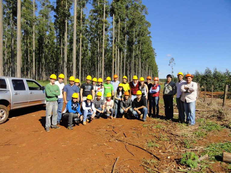 Especialista en producción forestal participará de jornada técnica