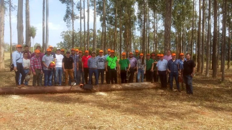 Fepama realizó jornada técnica para capacitar a los actores del sector forestal