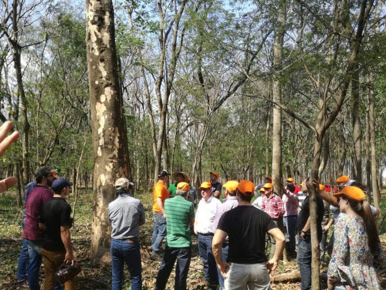 Jornada técnica de capacitación de Fepama