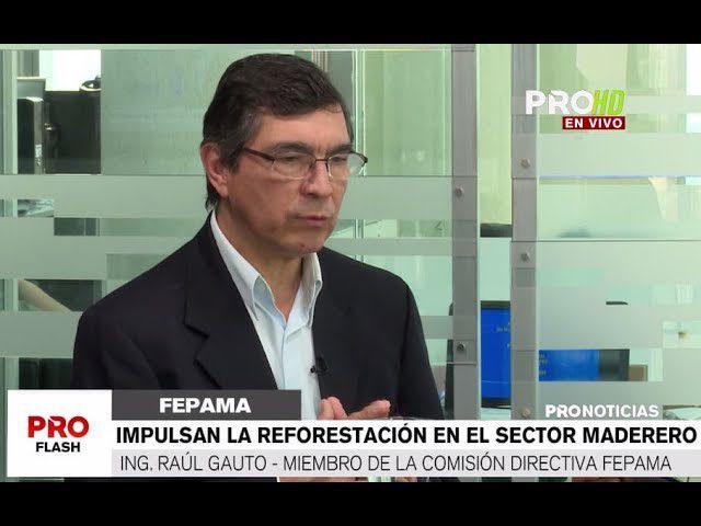 «Paraguay tiene mayor potencial forestal de la región»