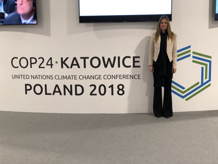 En Cumbre Mundial expondrán que la reforestación es una herramienta válida para mitigar los efectos del cambio climático