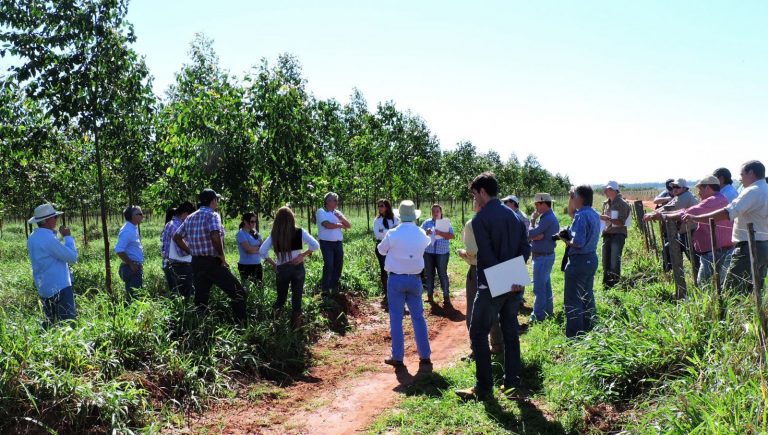 Apoyamos el desarrollo del sector forestal por razones estratégicas, económicas, sociales, y ambientales