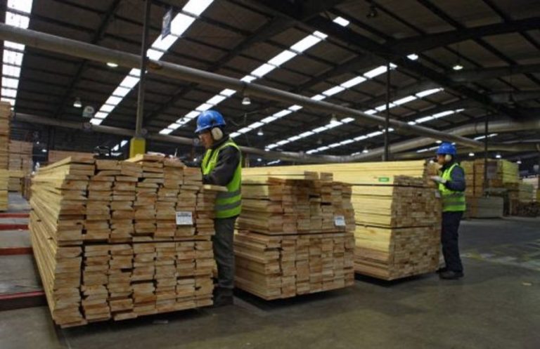 Pandemia disparó la venta de la madera y hace trabajar al máximo de su capacidad a muchas empresas