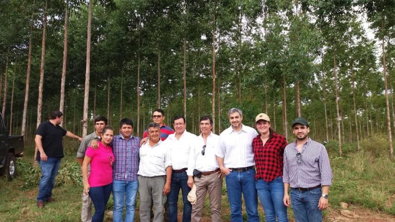 Histórica visita presidencial a plantación forestal en Ybycui
