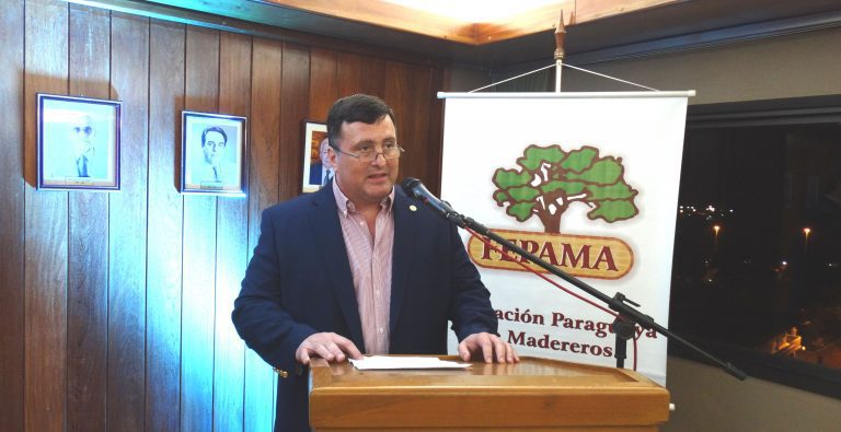 Industria forestal cierra año difícil, con reducción del 40% en ventas