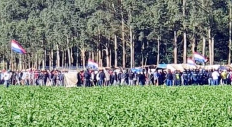 Invasiones frenan inversión forestal, denuncia Fepama