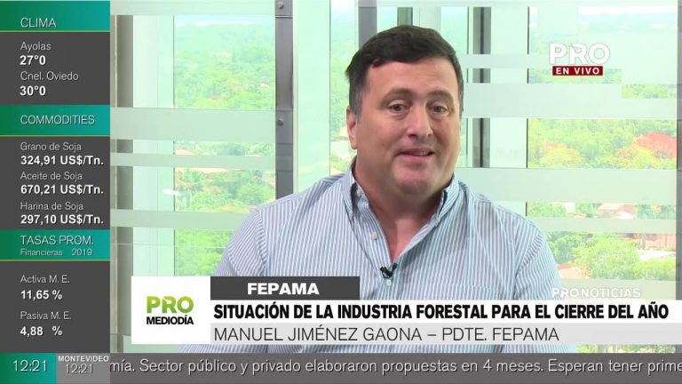 Titular de Fepama explica situación de la industria forestal nacional
