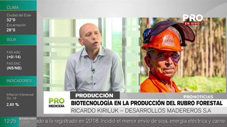 «Paraguay tiene un potencial enorme para las inversiones forestales»