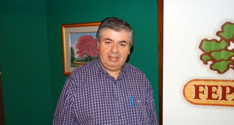 “Apostar a la reforestación es una opción válida para reactivar la economía”