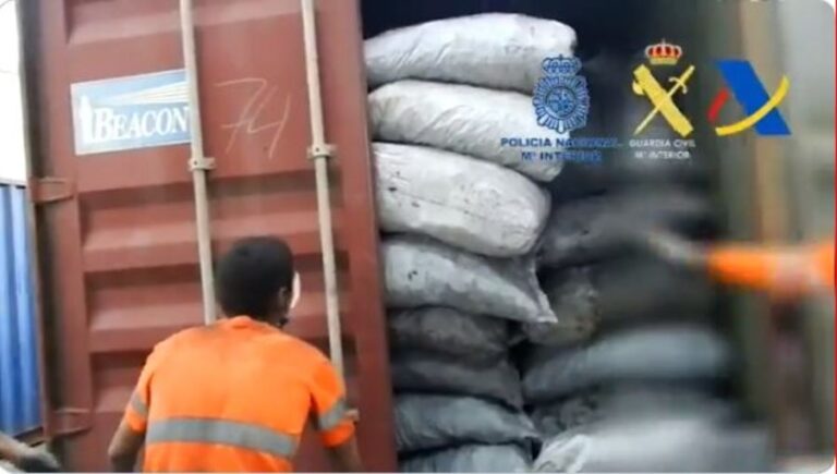 Fepama condena tráfico ilegal de sustancias en cargamentos de carbón vegetal