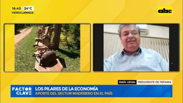 Sector maderero se fortaleció durante la pandemia