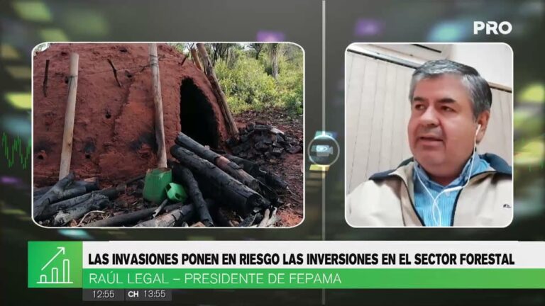 Presidente de Fepama habló sobre el tema de invasiones en Canal Pro