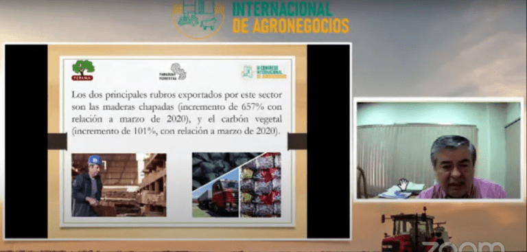 Destacan aumento de las exportaciones de maderas chapadas y carbón vegetal durante pandemia