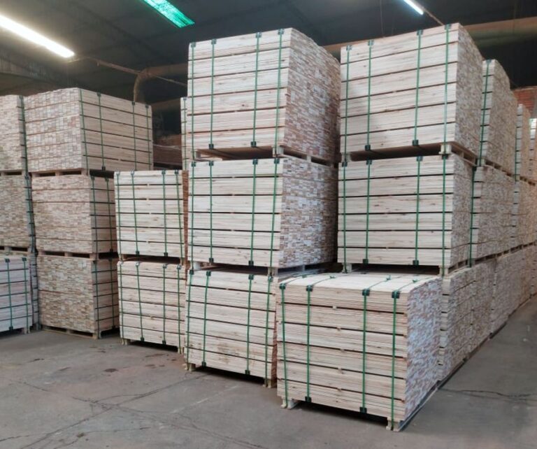Año 2021 marcó recuperación de las exportaciones de la madera, con repunte del 45%