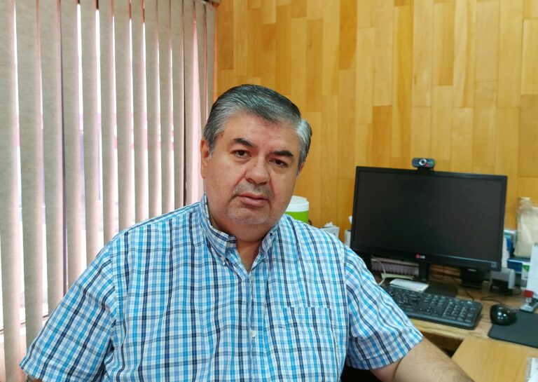 Estiman buen año para el sector forestal y las exportaciones de madera