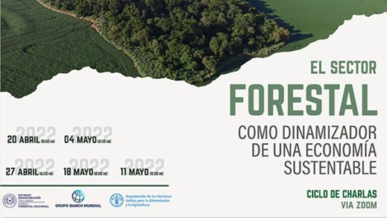 Prosiguen charlas virtuales enfocadas en el sector forestal como dinamizador de la economía sustentable