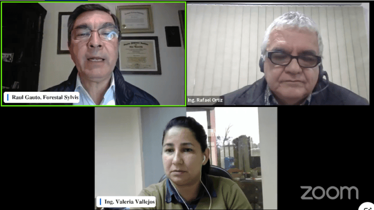 Rentabilidad de plantaciones forestales es comparable con la ganadería, afirman