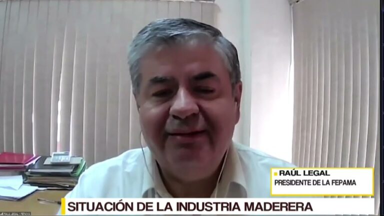 Titular de Fepama destaca dinamismo del sector foresto industrial