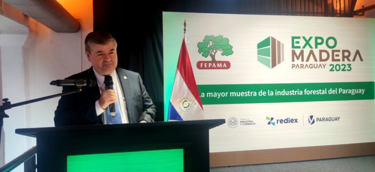 “La foresto industria en Paraguay precisa de acciones públicas articuladas, no duplicadas, burocráticas y costosas”