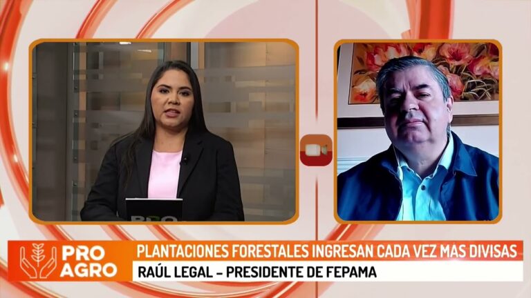Presidente de Fepama adelanta novedades de la Expo Madera 2023