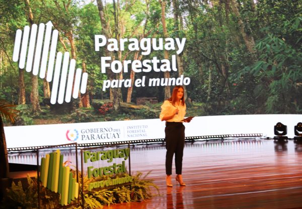 Lanzan portal para conocer dinámica de los bosques en Paraguay y posicionar al sector forestal