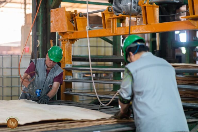 Paraguay apunta a facturar hasta USD 5.000 millones al año con la industria forestal