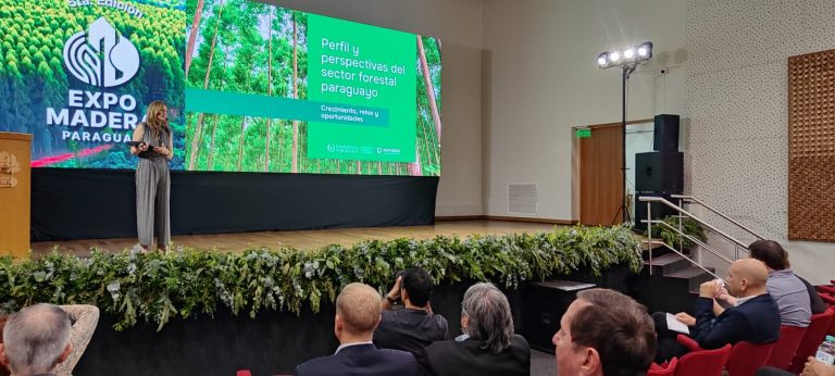 INFONA presentó informe sobre el potencial forestal del Paraguay en la Expo Madera 2025