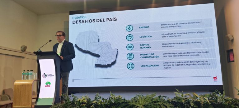 «Una planta de celulosa no es solo una industria, es un programa de transformación nacional»
