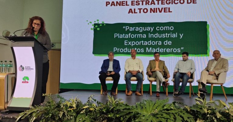 Paraguay apunta a una nueva escala forestal y debe prepararse